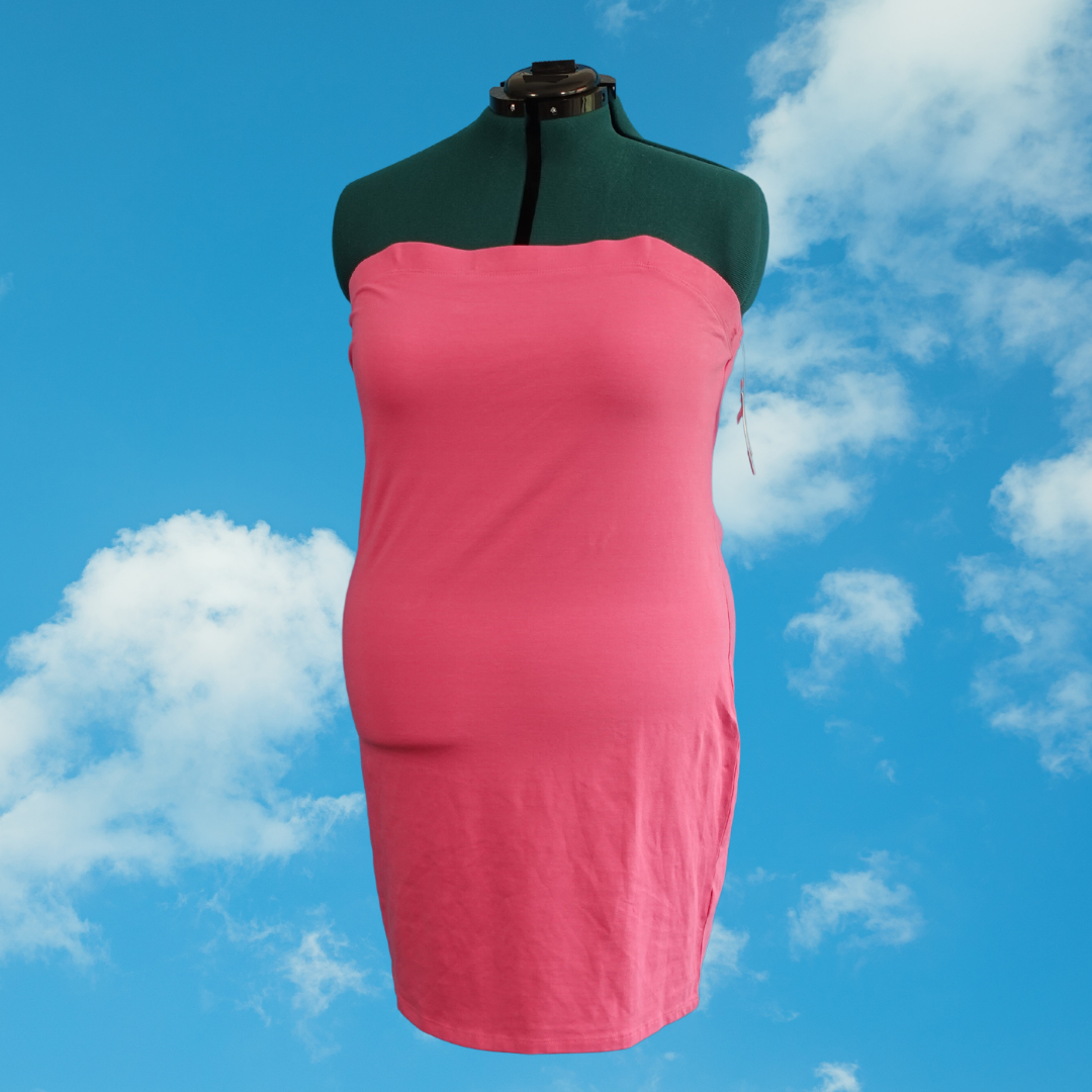 Pink Tube Dress NWT