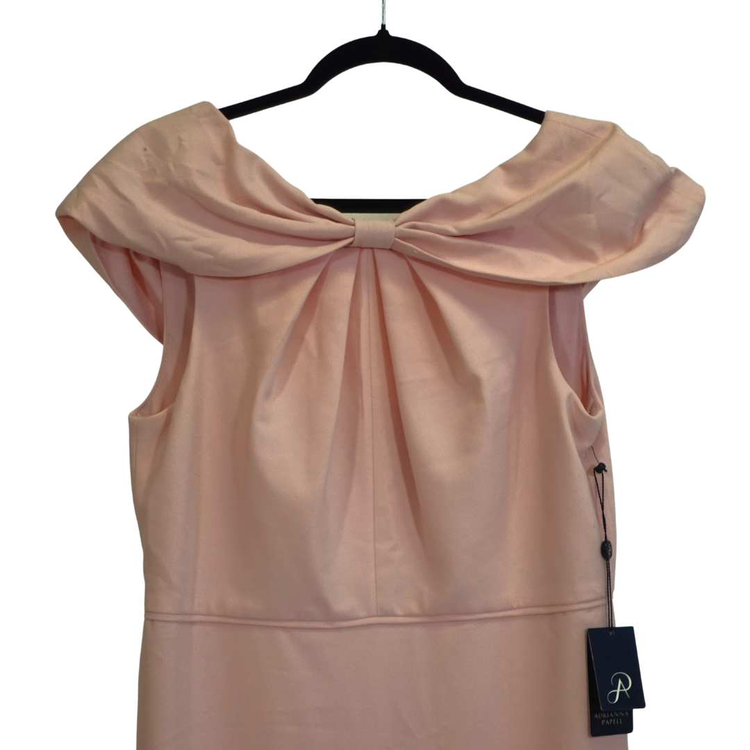 Blush Pink Floor Length Gown NWT