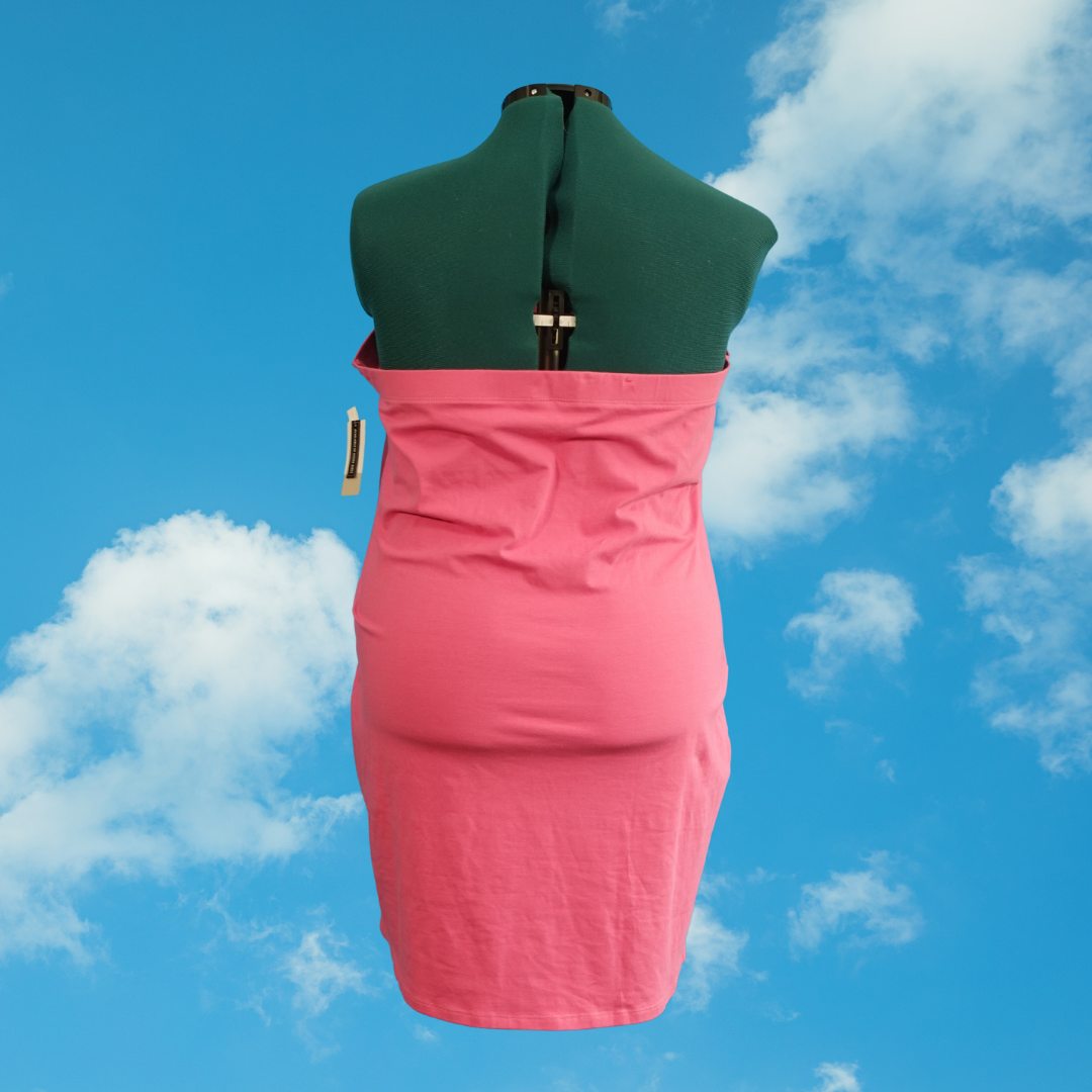 Pink Tube Dress NWT