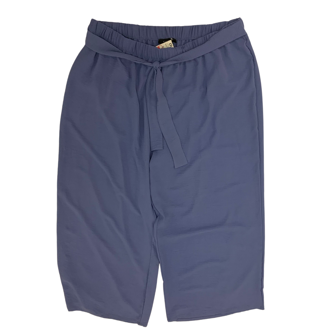 Periwinkle Wide Leg Pull-On Pants