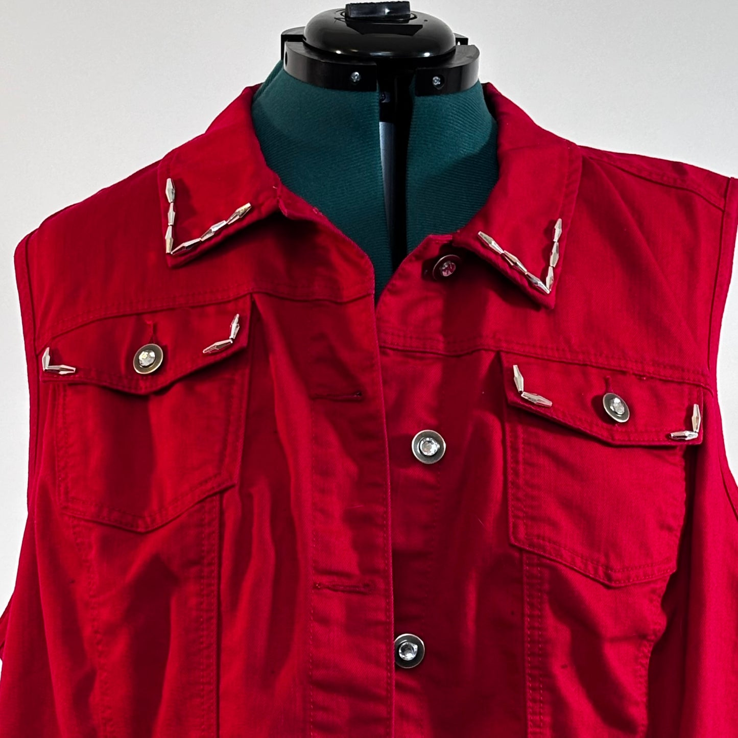 The Wild Wild Vest