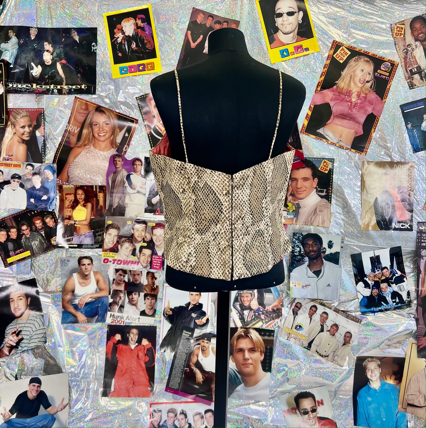 Snakeskin Corset Top