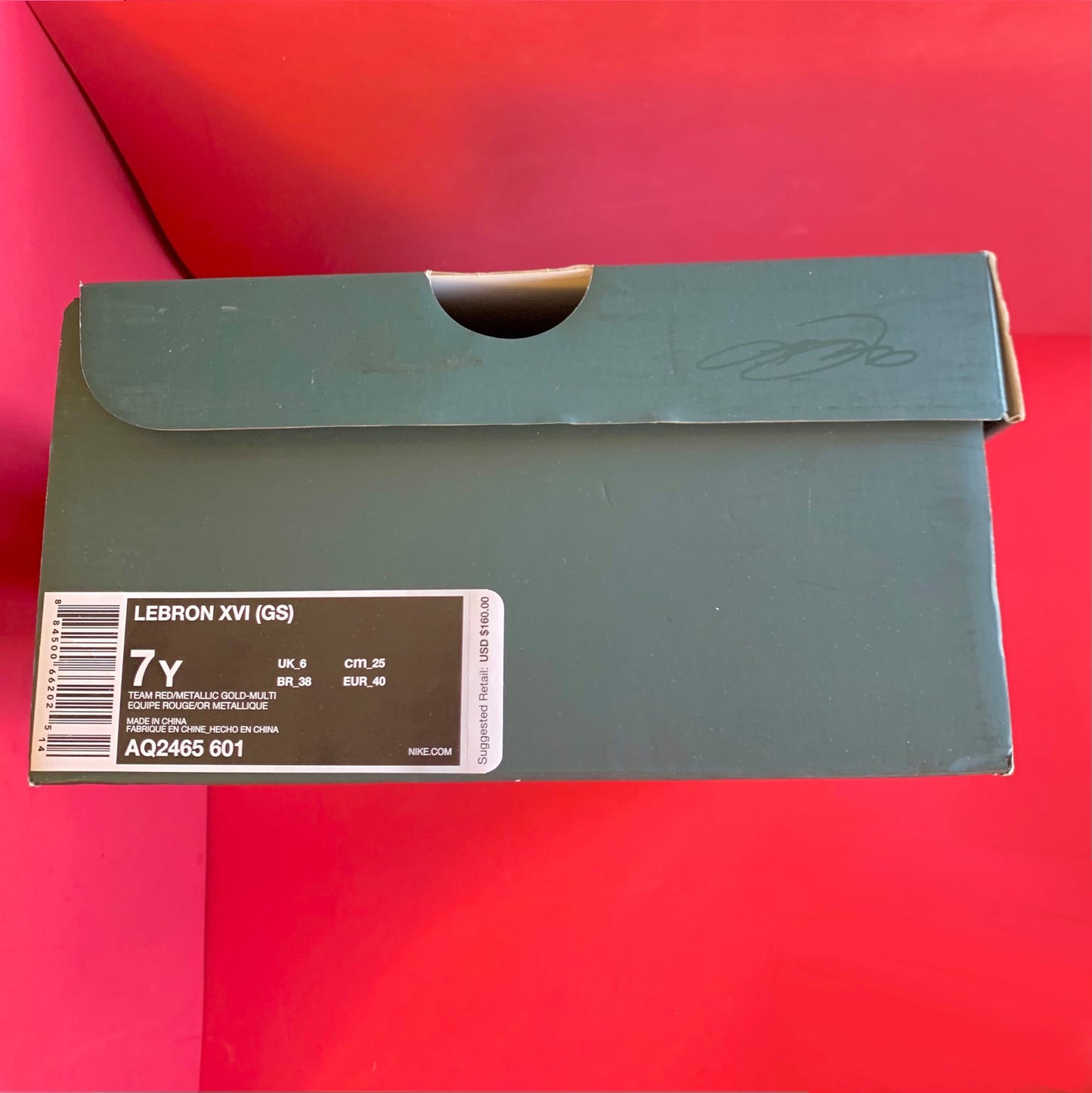 Sz 7Y Lebron XVI Team Red/Metallic Gold Sneakers