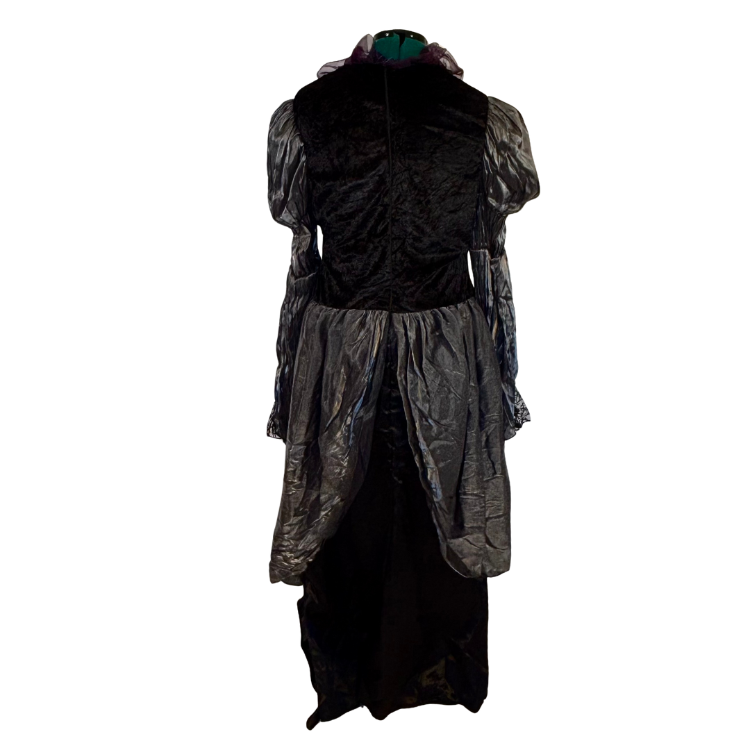 The Wicked Queen Costume Dress and Crown