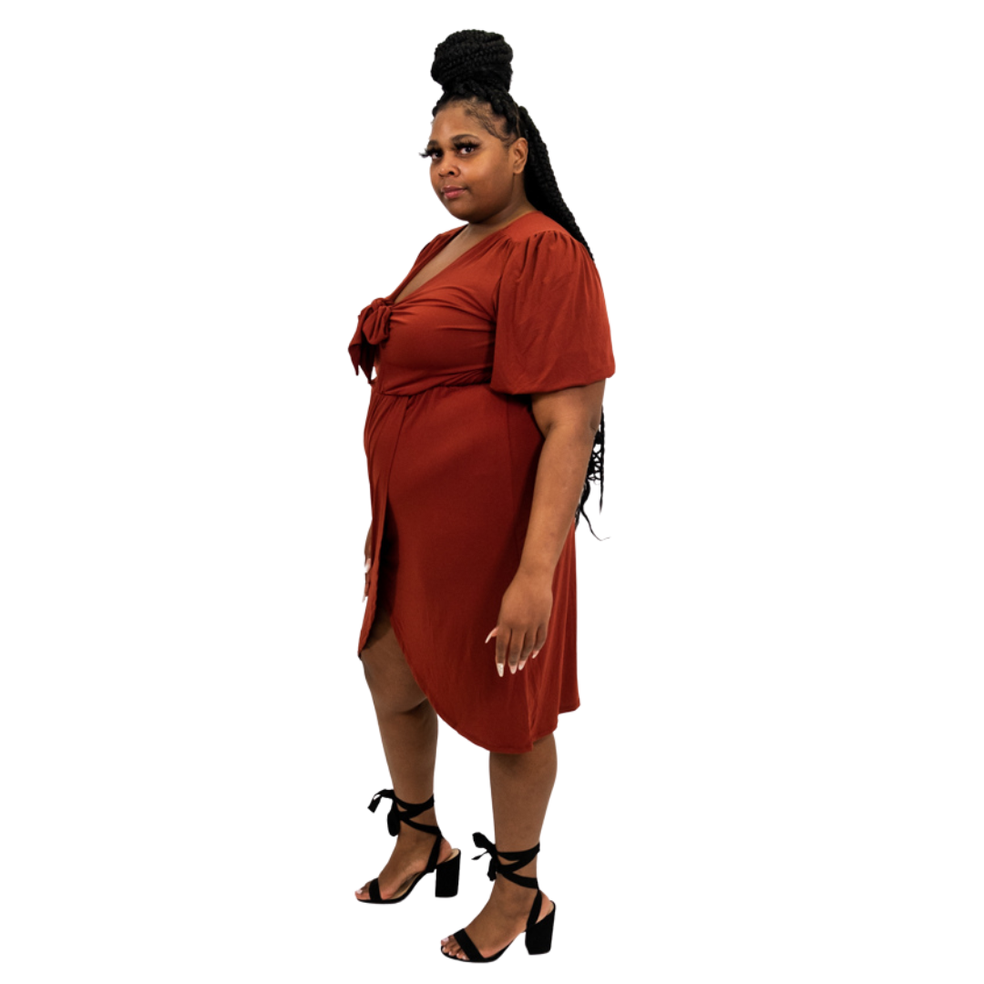 Rust Faux Wrap Dress with Tie Neck