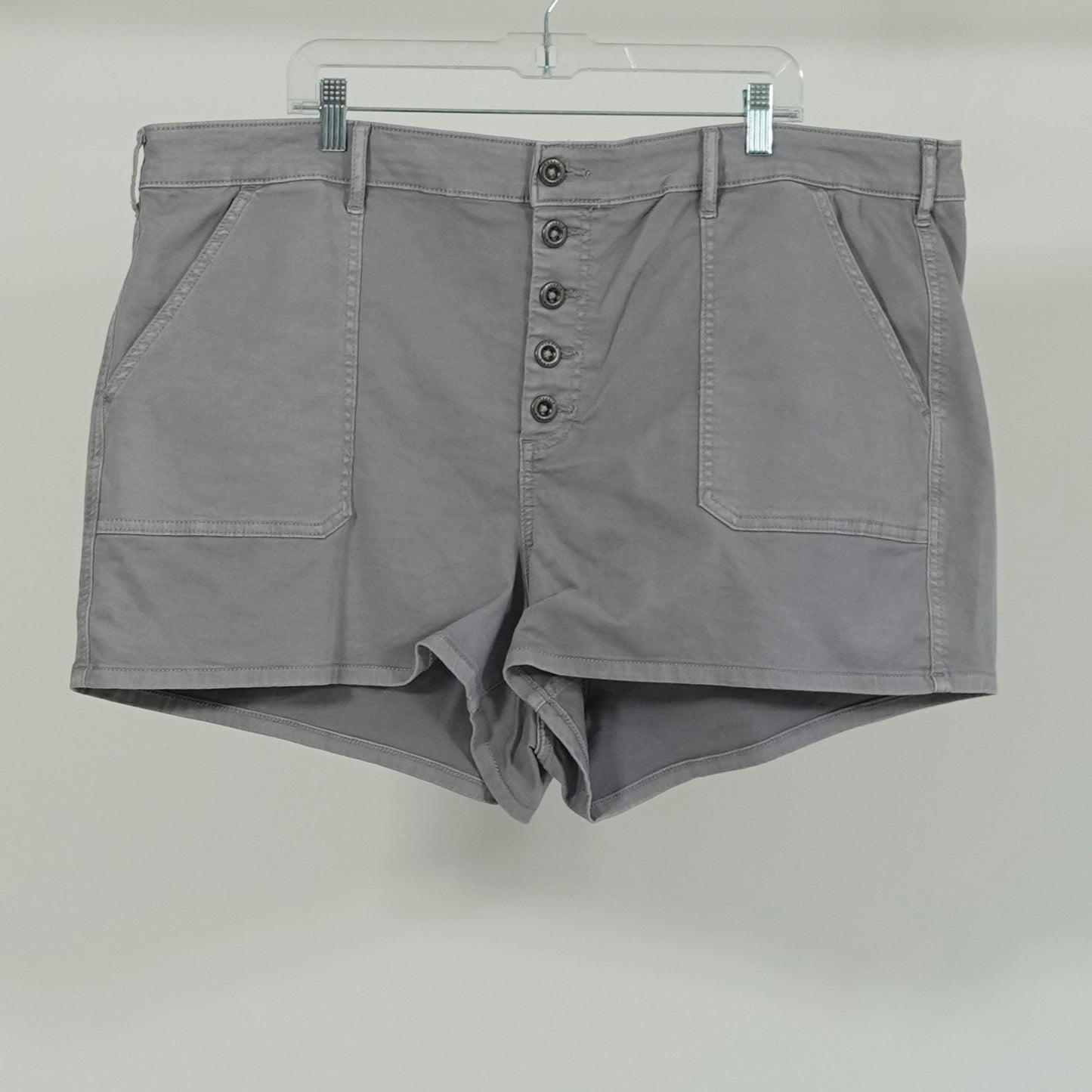 Lilac Grey Button Fly Shorts NWT