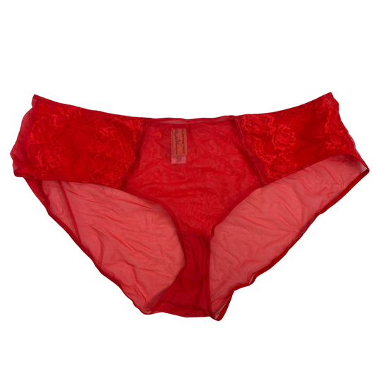 Felicity Hayward X Playful Promises Red Mesh and Lace Hipster Panties NWOT