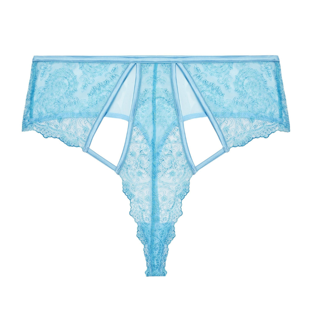 Gabi Fresh X Playful Promises Blue Embroidered Mesh Hipster Thong NWOT