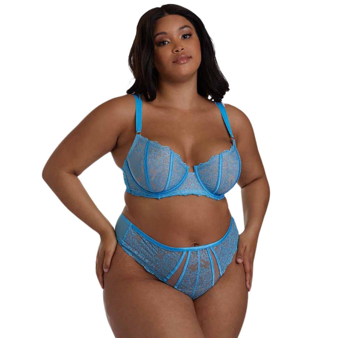 Gabi Fresh X Playful Promises Blue Embroidered Bra (42 DD/E)