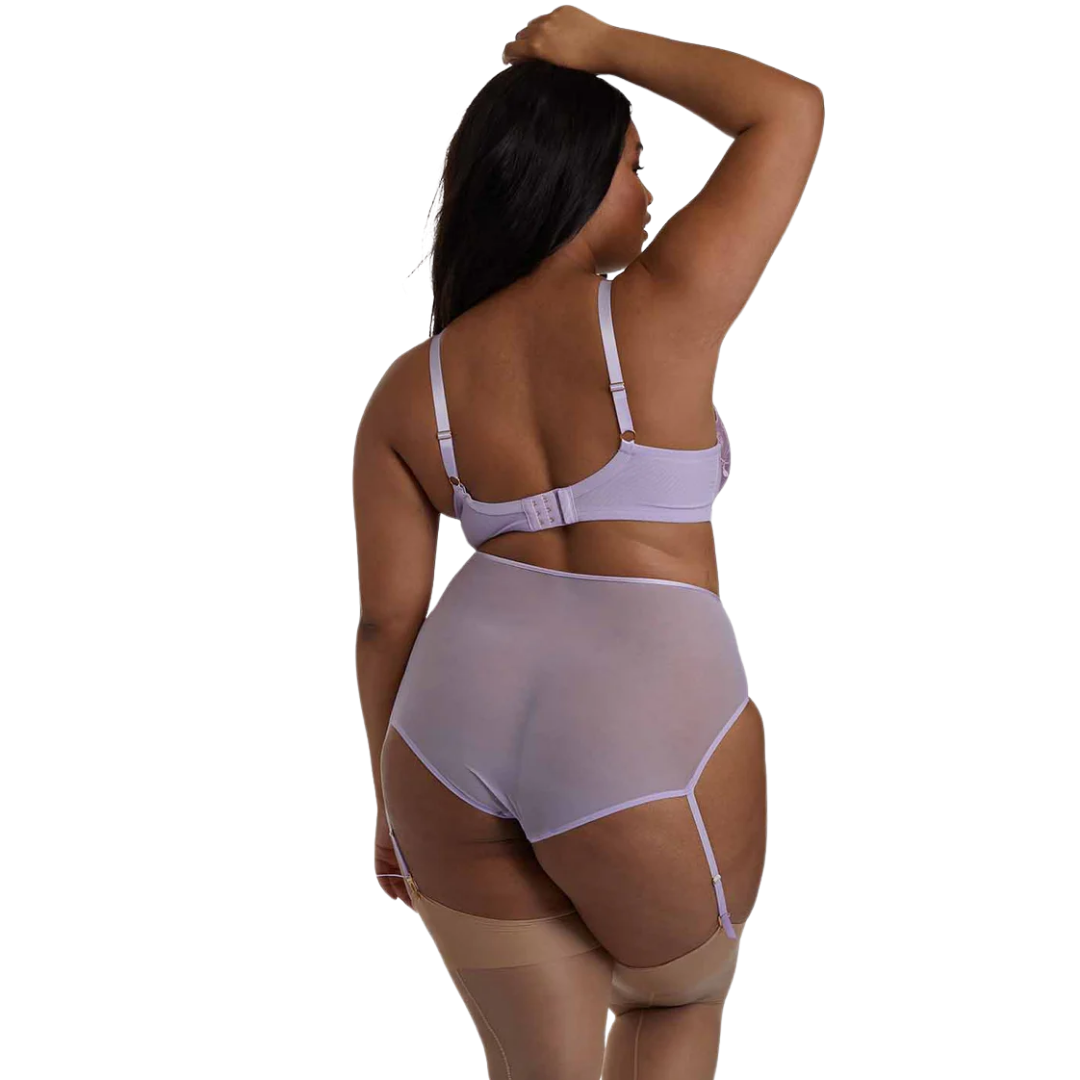 Gabi Fresh X Playful Promises Lilac Sheer High Waisted Garter Panties NWOT