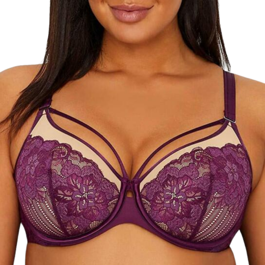 Burgundy and Nude T Shirt Bra (42D)