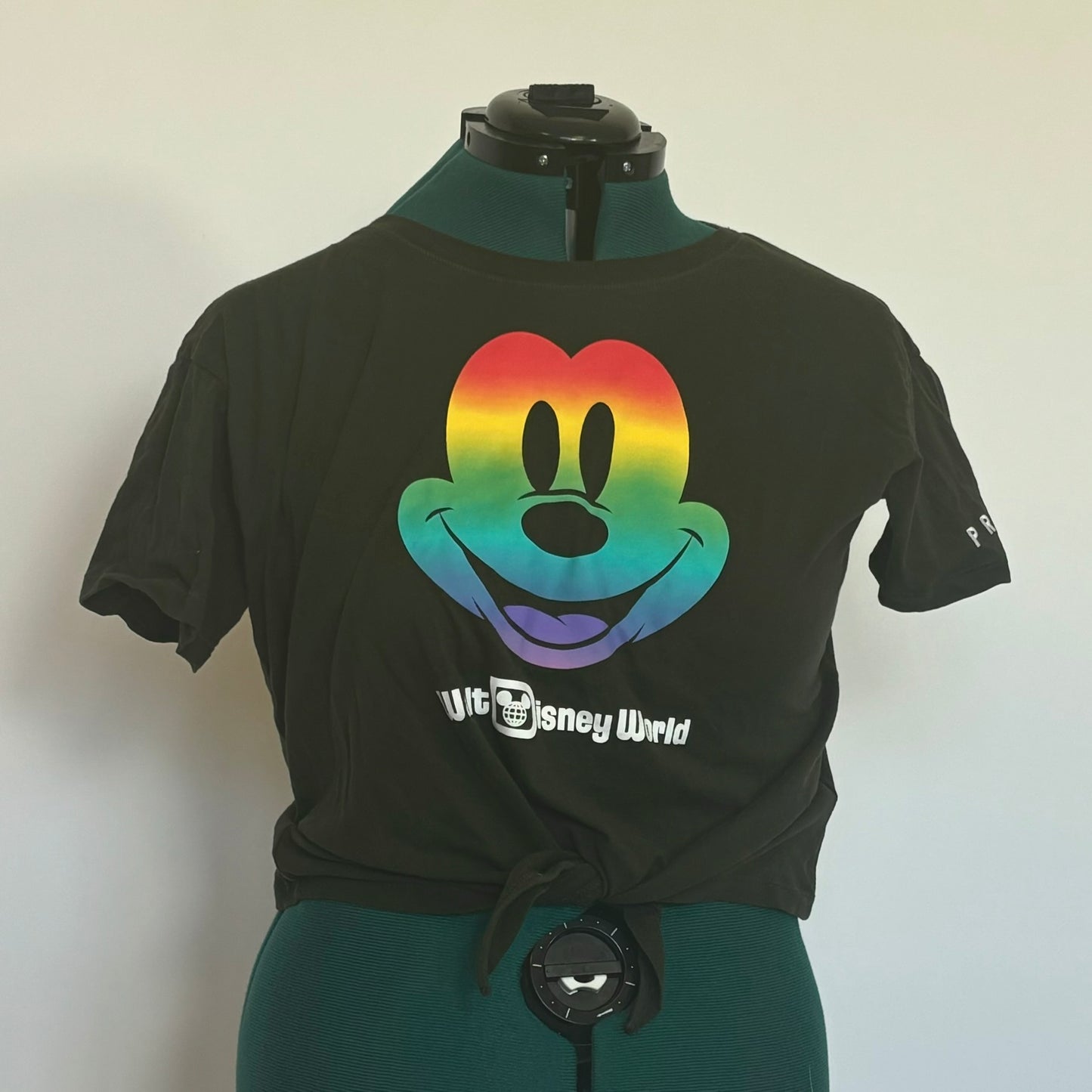 Disney Pride Cropped Tee with Tie Front