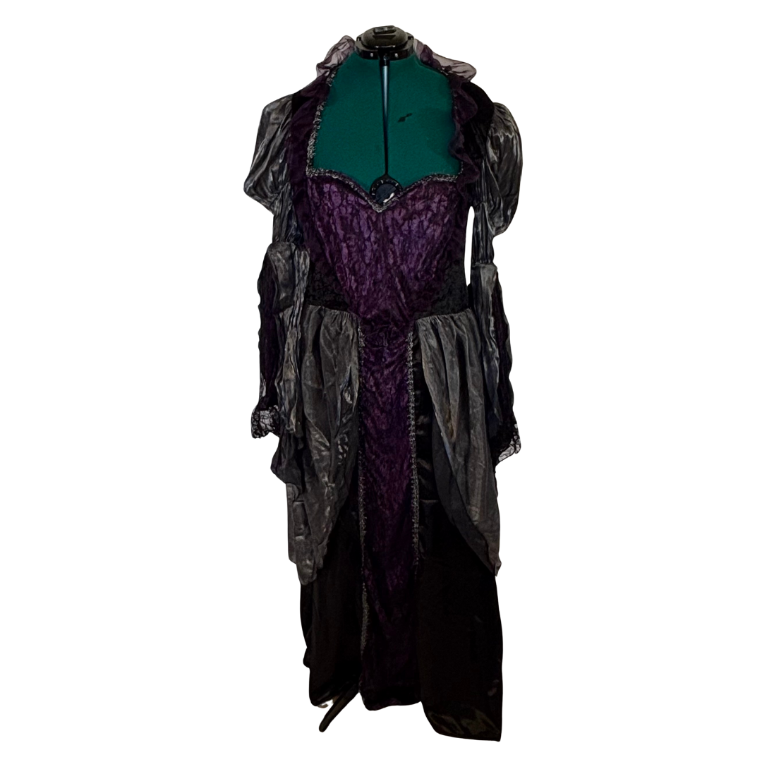 The Wicked Queen Costume Dress and Crown