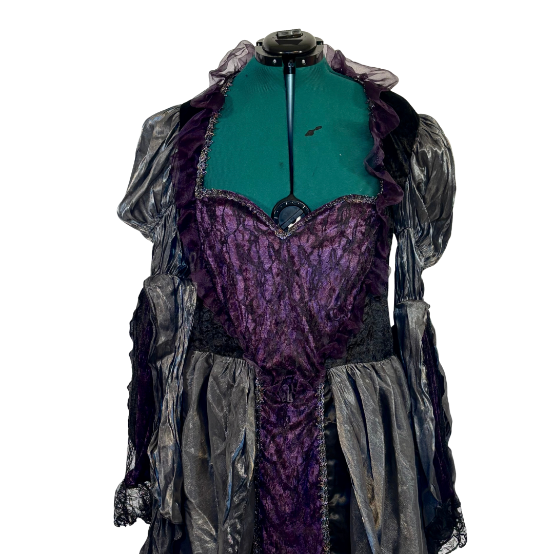 The Wicked Queen Costume Dress and Crown