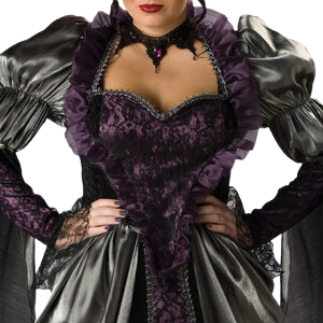 The Wicked Queen Costume Dress and Crown