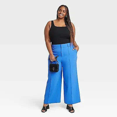 Blue Wide Leg Pants NWT